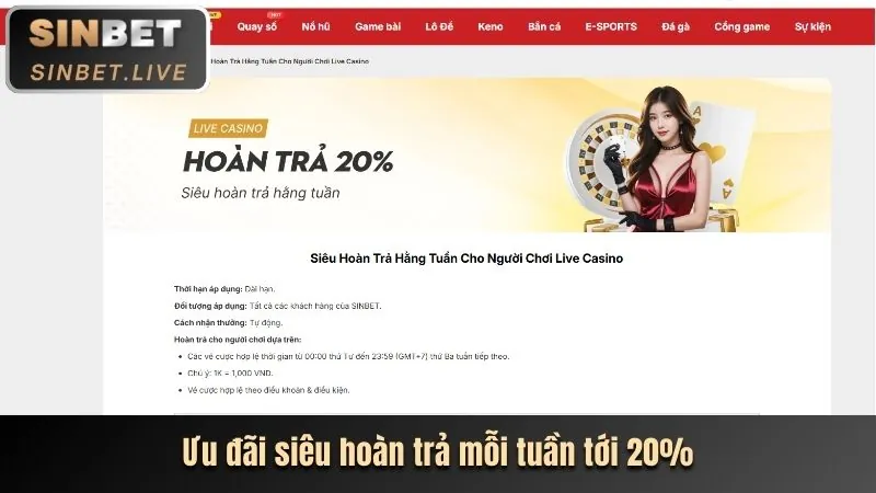 Hoàn trả cược thể thao JDB66